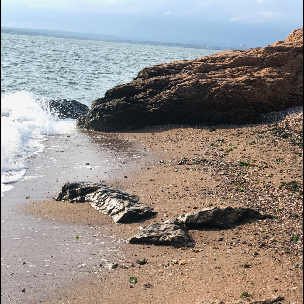 Meet your Posher, Kim